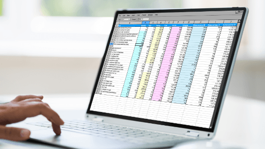 Exceptional Excel - Error-Proof Spreadsheets