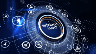 Global IIA Standards - Domain I and II part 2